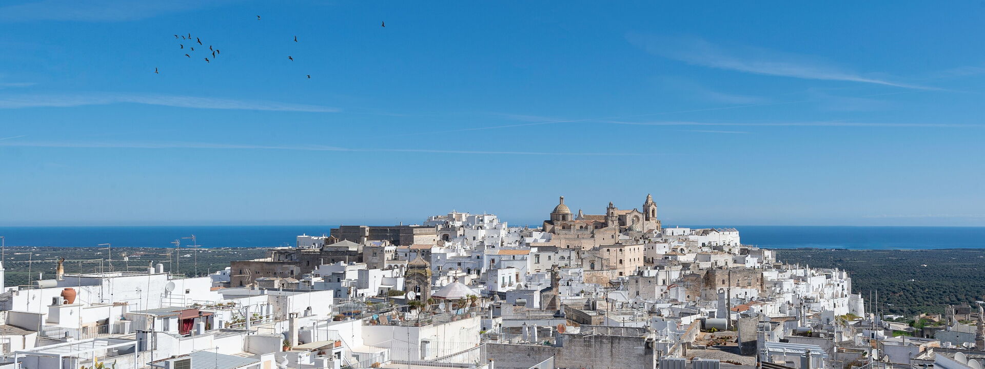 Il Quinto Elemento - Residence Of Charme - Terra Madre: Il 5 Elemento - Apulia - Ostuni - Luxury residence