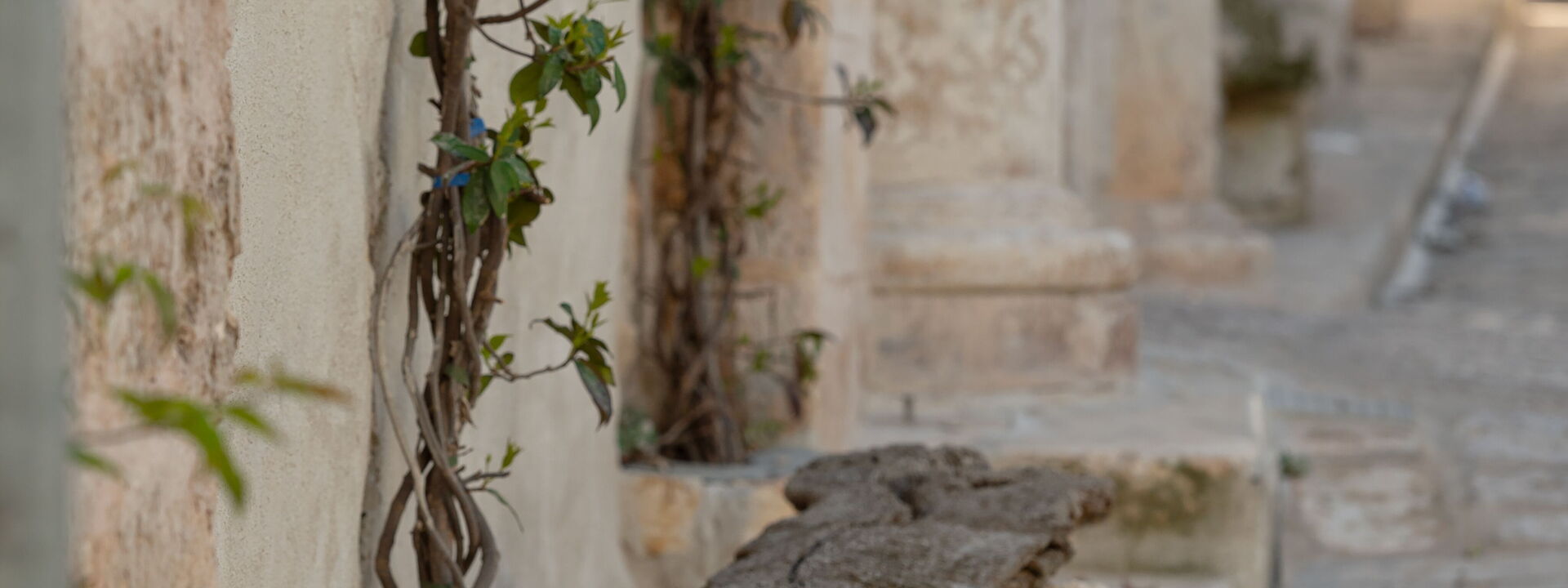 Il Quinto Elemento - Residence Of Charme - Oroblu